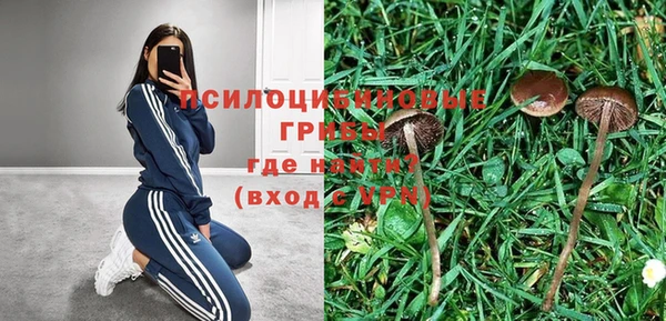 ECSTASY Алексеевка