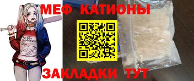 гашик Кингисепп