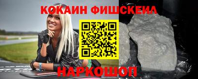 гашик Кингисепп
