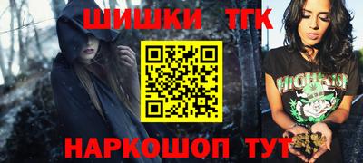 гашик Кингисепп