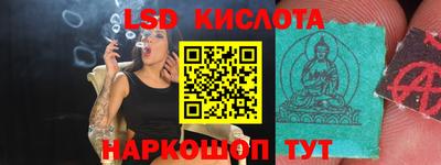 гашик Кингисепп