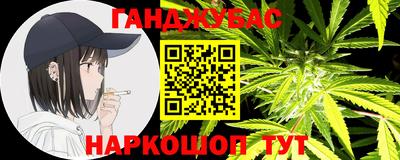гашик Кингисепп