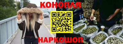 гашик Кингисепп