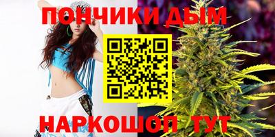 гашик Кингисепп