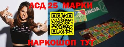 гашик Кингисепп
