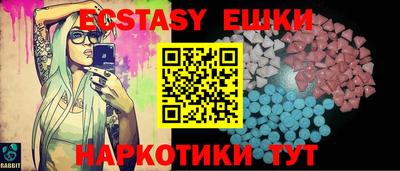 гашик Кингисепп