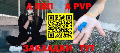 гашик Кингисепп
