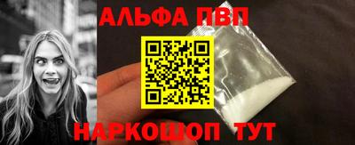 гашик Кингисепп