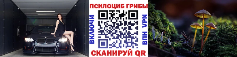 Псилоцибиновые грибы MAGIC MUSHROOMS  закладка  Зерноград 