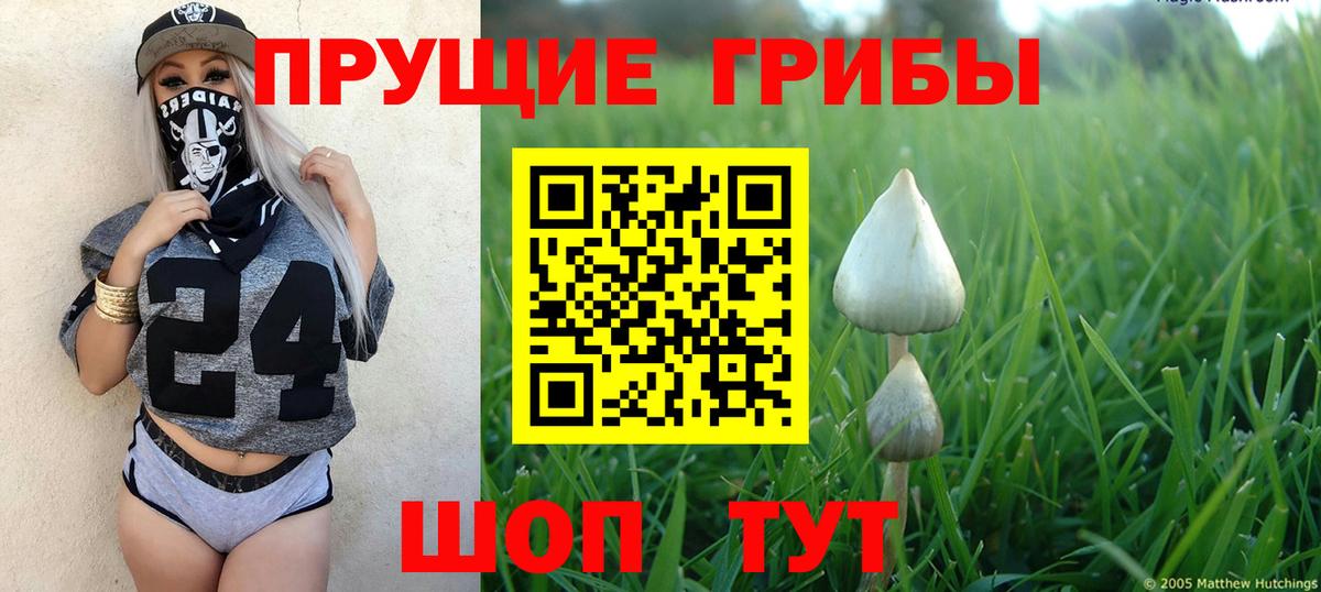 Галлюциногенные грибы MAGIC MUSHROOMS Зерноград